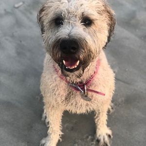 Meet your Posher, Robyn